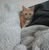 Shara Herbert's profile image