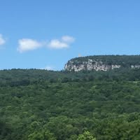 Sue Wittenberg's profile image