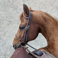 Angela Ottman's profile image