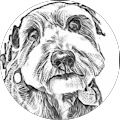 Tracey Messer's Profile Image