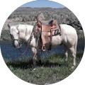 Val & Bev Ashton's Profile Image