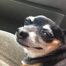 Alexis L.'s profile image