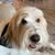 Connie Lyon Browning's profile image