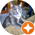 Kat Tastic's Profile Image