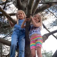 Donna Mcpartlin's profile image