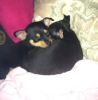 Kathy D Arnold's profile image