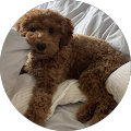 Profile Photo of Linda Hyun