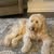Cheryl Wonell Patton's profile image