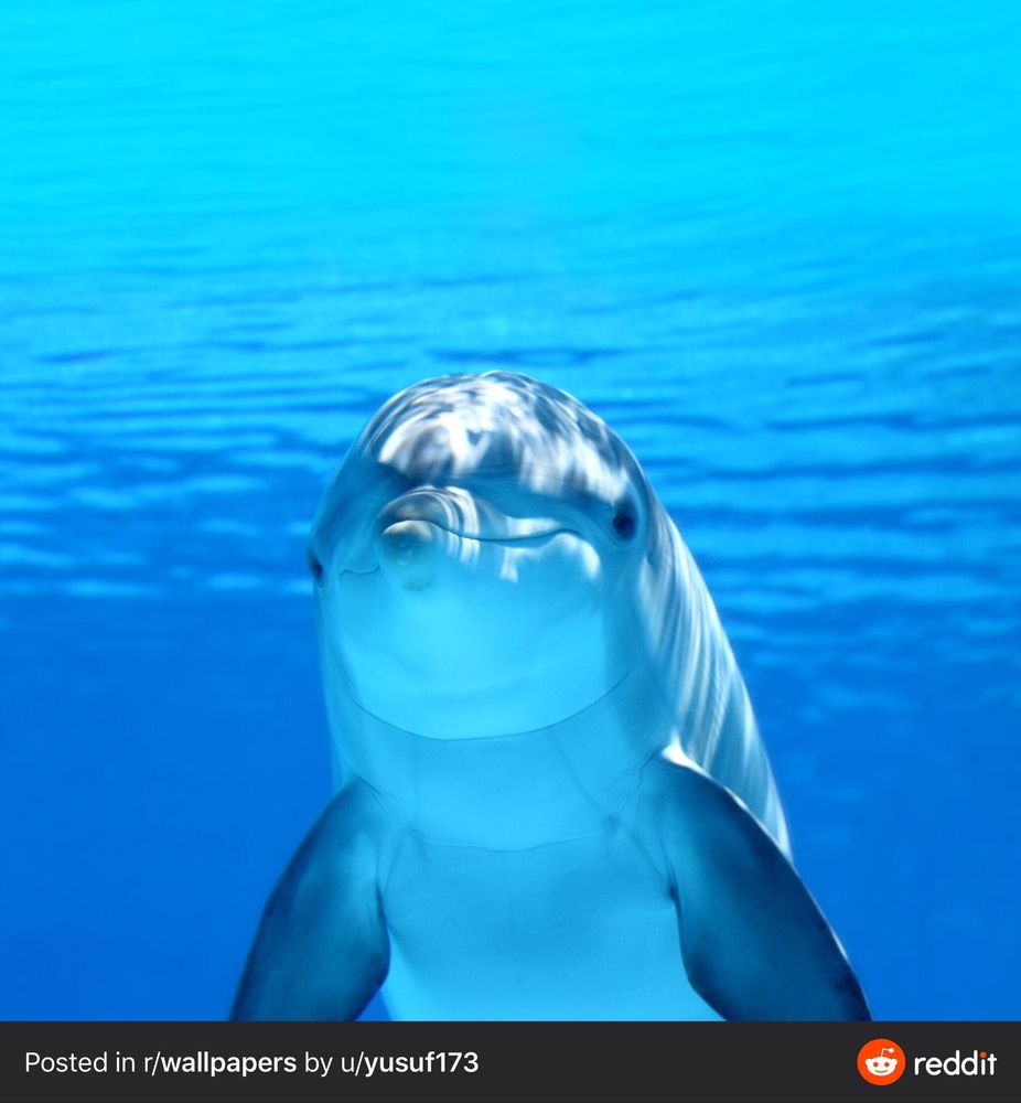 Ron G.'s profile image