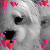 Sky Maree's profile image
