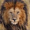 Ev R.'s profile image