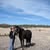 Jacqueline Lubbers's profile image