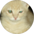 Barbara Heinecke's Profile Image