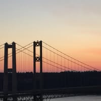 Jeri Pantier Pitz's profile image