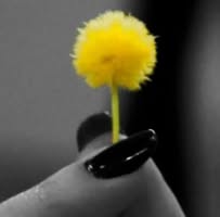 Amin Hashemi's profile image