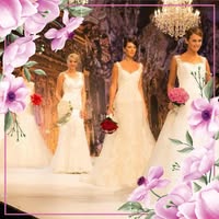 Lida Ghorbanzadeh's profile image