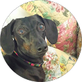 Patricia Balko's Profile Image