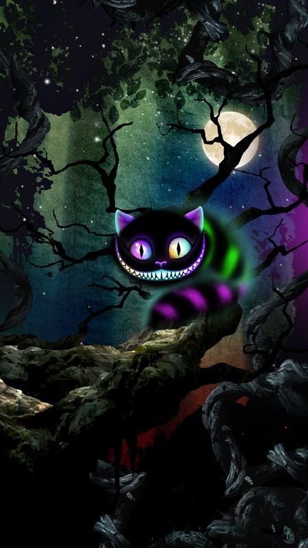 Foxy K.'s profile image