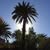 Jackie Avison Haggerty's profile image