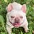Dora Rosati's profile image