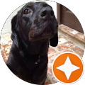 Eric B's Profile Image
