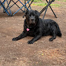 joanne r.'s profile image