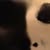 Susan Greenbaum's profile image