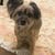 Solmaz Solly B.'s profile image