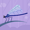 Deeann H.'s profile image