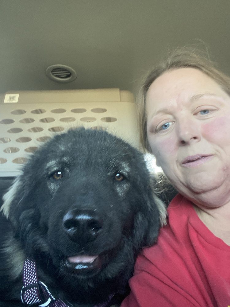 Kathy S.'s profile image