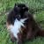 Laurie Zucchero's profile image
