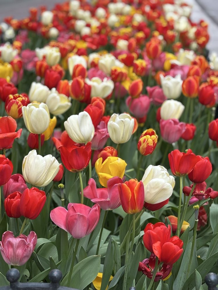 Jo D.'s profile image