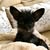 Geree Baginski's profile image