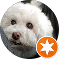 Foochfifi Lee's profile image