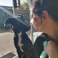 Katherine Theunissen's profile image