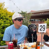 Bailey Vlahov's profile image