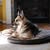 MonaLisa Warnick's profile image