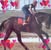 Talley Holmes's profile image
