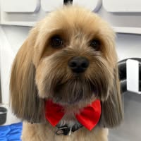 Jaime Garfield's profile image