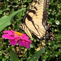 Valerie Stacy's profile image