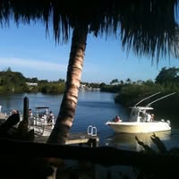 Marianne Chellino's profile image