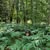 Janice Labenz Williams's profile image