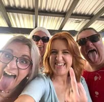 Dianne Piggott's profile image