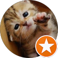 Vee's profile image