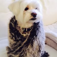 Sook Stubbs's profile image