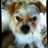 Linda T.'s profile image