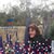 Christine Goodwin's profile image
