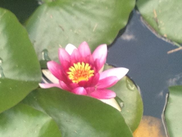 Ann M.'s profile image