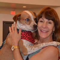 Linda Slavin-Laguna's profile image