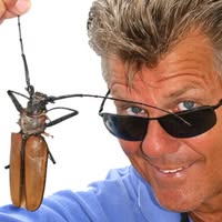 Matt Hunter's profile image